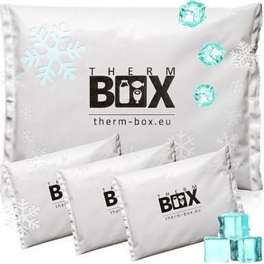 THERM BOX Lot de 4 blocs réfrigérants professionnels pour glacière - 450 g - Réutilisables Blanc