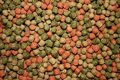 Coppens Allround Nourriture pour poissons koï 6 mm 15 kg