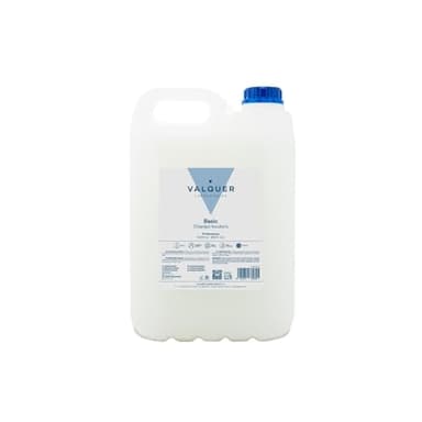 VALQUER Shampoing incolore | Nettoyage en profondeur et douceur pour tous types de cheveux | Formule végane sans silicone, au parfum fruité | Format professionnel, flacon de 5 L