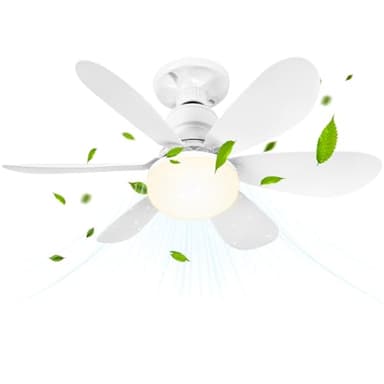 BuzzoXerex Ventilateur de Plafond avec Lumière et Telecommande, 52CM 40W Petit Dimmable Ventilateur LED avec Douille E27, Lustre Ventilateurs de Plafond pour Chambre, 6 Pales,3 Vitesses, 19x11x11 cm