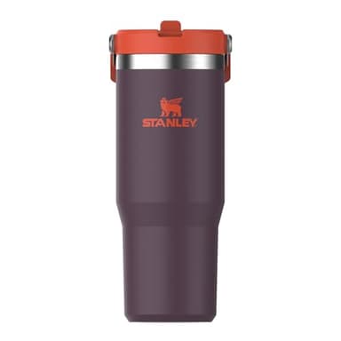 STANLEY Flip Straw Tumbler 1.0 Gourde Avec Paille 0.89L - Froid Pendant 12 Heures - Gourde Isotherme - Sans BPA - Thermos Facile à Transporter - Va au Lave-Vaisselle - Plum