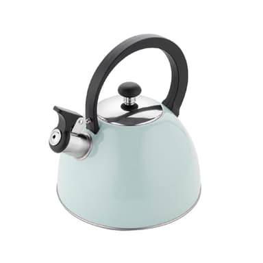 FLORINA - Bouilloire Inox (2,5 l) I Bouilloire Sifflante BRILLO I Poignée Résistante à la Chaleur I Bouilloire non Electrique I Bouilloire Induction, Gaz I Pour Thé et Café I Couleur: Menthe