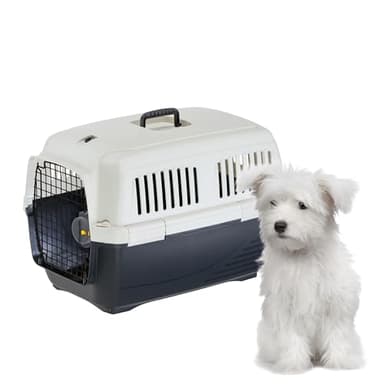 Ferplast Caisse de Transport Chat CLIPPER 3, IATA, Cage de Transport pour Petits Chiens et Chats max 15 Kg, Boite Transport, Voyage Animaux Voiture Avion Train, 64 x 43 x h 43 cm, Porte en Acier