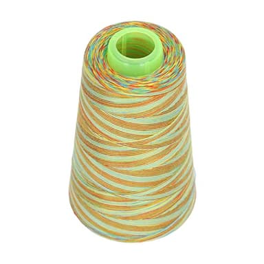 Haofy Fil de Couture, Fil de Machine à Broderie Polyester de Polyester Professionnel Portable Robuste pour Quilting Quotidien, Gaze, épissage, Couture Machine (060428)