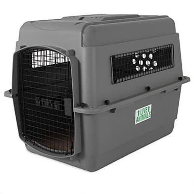 Beeztees Skykennel 3 IATA Caisse de Transport pour Chien de 13,5-22,5 kg Gris
