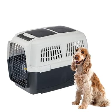 Ferplast Cage de Transport pour Chiens, IATA, Boite Panier Transport Chien Moyen Max 20 Kg, Fermeture sécurisée, Compartiment pour Accessoires, Poignée Amovible, 71 x 50 x h 51 cm