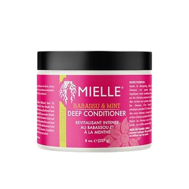 Mielle Babassu & Mint Après-shampoing profond aux protéines, traitement hydratant et revitalisant, réparation hydratante pour cheveux secs, abîmés et crépus, 227 ml (lot de 1)