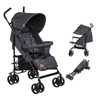 LIONELO Elia poussette canne à 15 kg, réglage du dossier jusqu’à la position couchée, grand panier, système de pliage rapide, moustiquaire