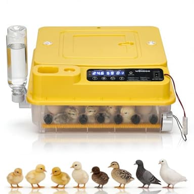 LEADZM Couveuse œuf Automatique 24-36 Oeufs avec Retournement Automatique et Ajout d'eau,Couveuse Oeuf Contrôle Température, Affichage Humidité,5 Modes d'incubation pour Poules Canards Oies Cailles