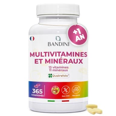 Bandini® Multivitamines et Minéraux 365 Comprimés (1 An) - 24 Nutriments Essentiels dont Vitamines A B C D E K Calcium Magnesium Zinc Fer Iode Acide Folique Biotine - Immunité, Fatigue, Cheveux, Peau