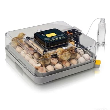 LEADZM Couveuse Oeuf Automatique 48 Oeufs avec Retournement Automatique et Ajout d'eau,Couveuse Oeuf Contrôle Température, Affichage Humidité,5 Modes d'incubation pour Poules Canards Oies Cailles