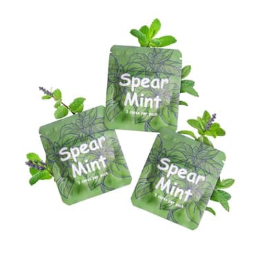 Collier réglable sans fumée pour arrêter de fumer - Chaîne de sevrage du tabagisme sans nicotine avec filtre à goût - Alternative sans vaporisateur à cigarette - Outil pour fumer pour adultes