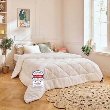 DREAMWAY Couette 200x220 en Microfibre, Édredon 200x220 cm, Légère et Chaude avec Garnissage 150g/m², Certifiée Oeko-TEX - Design Anti-grumeaux - Lavable à 60°C