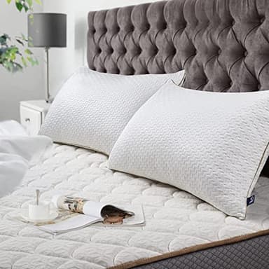 BedStory Oreiller 50x70 (2 Pièces) - Qualité Hôtelière de Luxe Oreiller - avec Housse en Fibres de Bambou Amovibles - Anti-acariens - Hypoallergénique -Confortable - Doux et Respirant